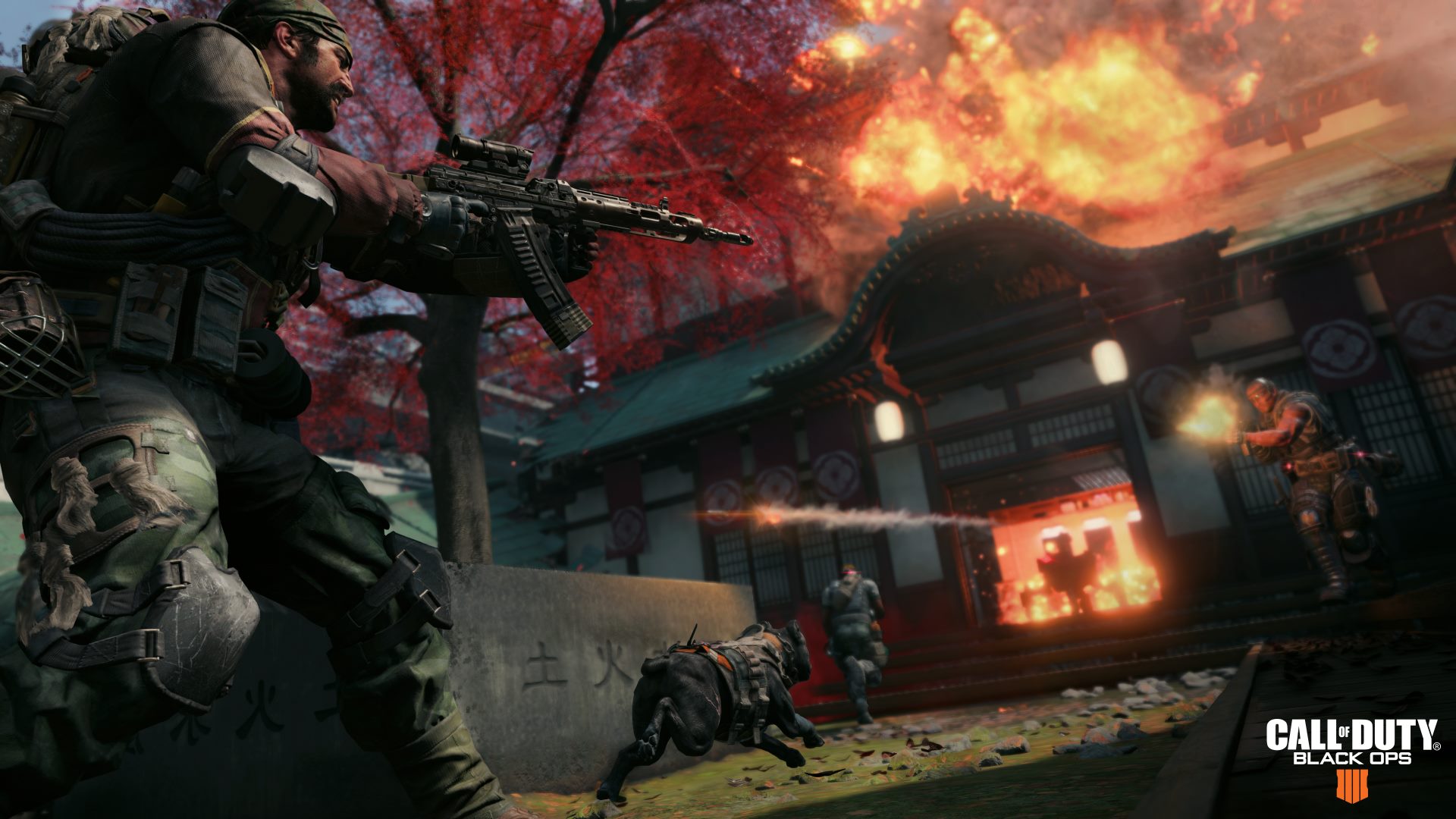 Call of Duty Black Ops 4 - впечатления от бета-тестирования - 1